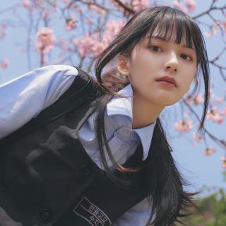 新版猫咪mnominv入口特色