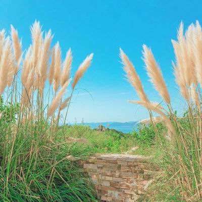 期待与各位在再次相见👋