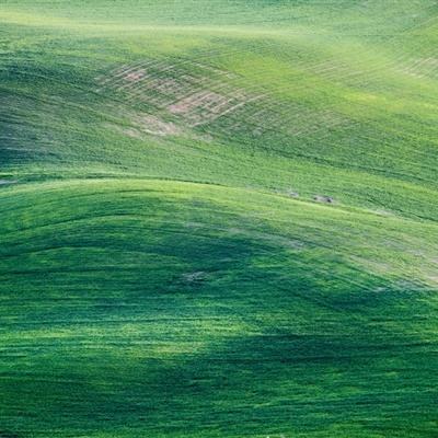 vvc十年沉淀只做精品app青青草视频截图