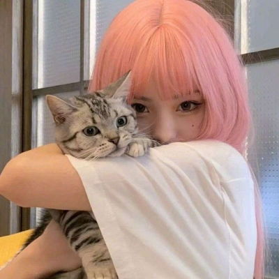 XVIDEOS官网截图