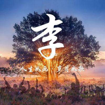 小姐 加长版
