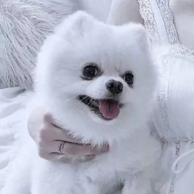 为什么很多中老年人迷恋广场舞