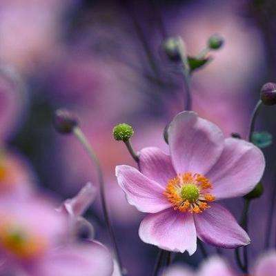 智能电视如何留住用户（人民时评）