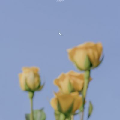 我的星球