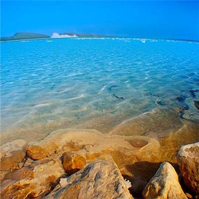 恭喜町洋 0290 系列端子！你的录...