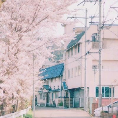 北京大学编撰 《政治通鉴》第一卷正式出版发行