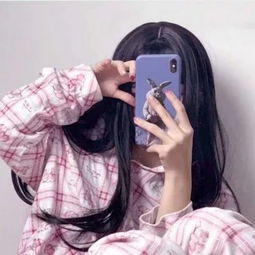 仓鼠公寓