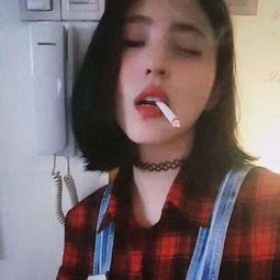 决战光明顶