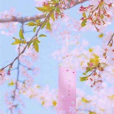 舞动乾坤