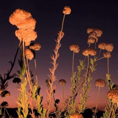 巴厘岛快艇事故致中国公民2死6伤我领馆启动领保应急机制