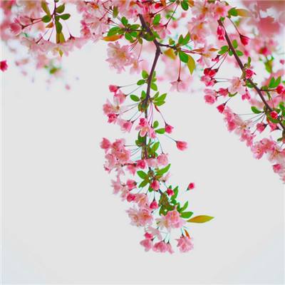 让民主实践在日照落地生根 ——市人大常委会深入...