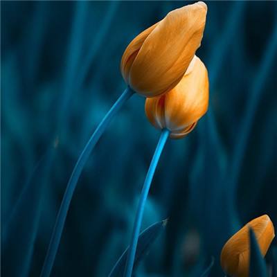 厦门金山街道开展暖心慰问致敬“最可爱的人”