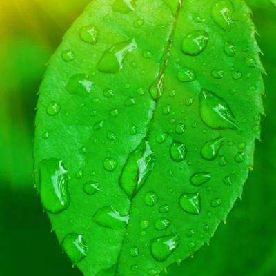 告别重复检查北京试点“综合查一次”为企业松绑